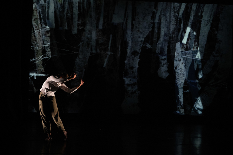 Collaborative performance with the International Writing Program Fall Residents