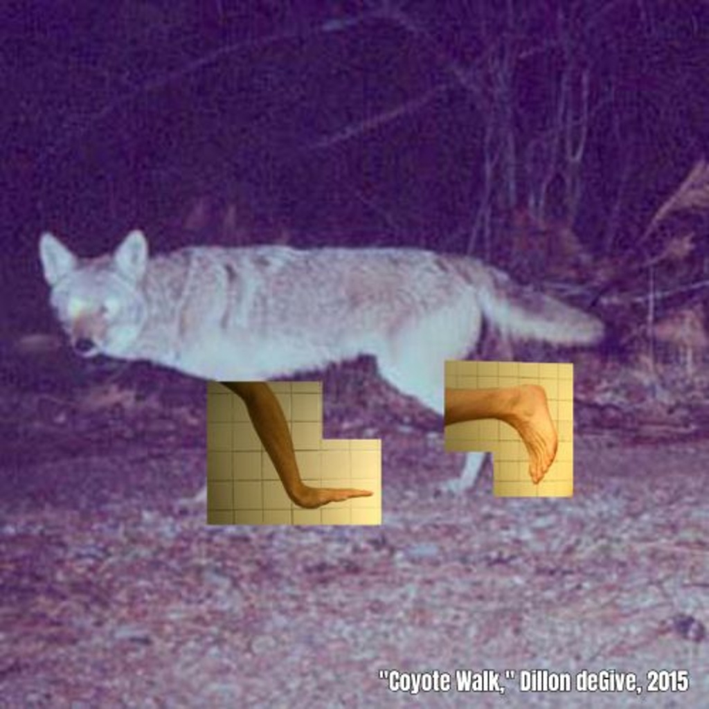 Floating Fridays- Zena Bibler  promotional image